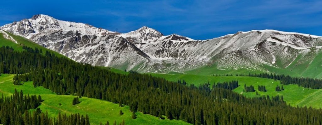 Nalati Grassland