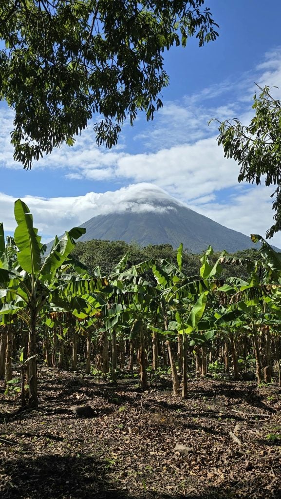 Rwenzori Mountains